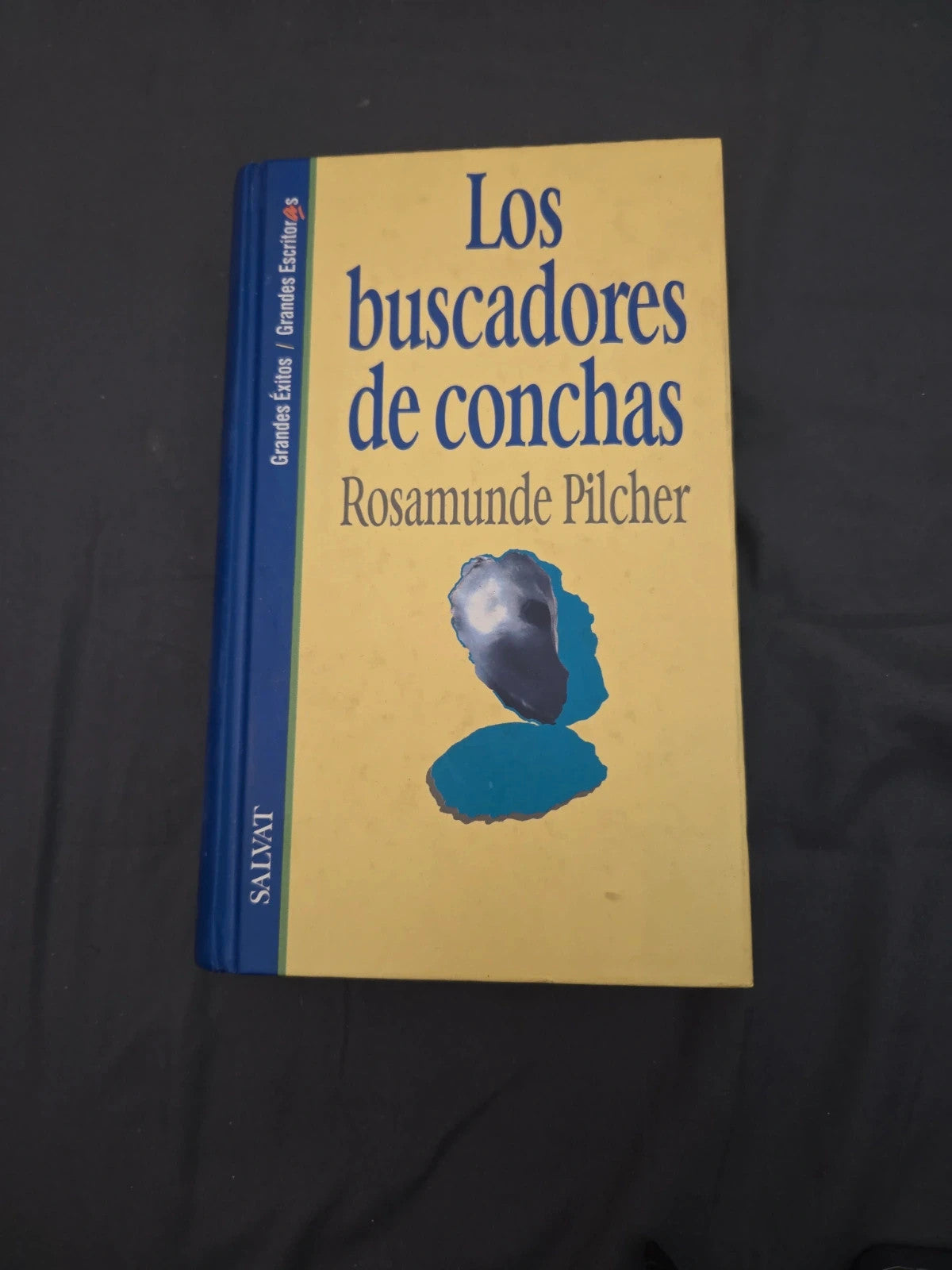 Los buscadores de canchas. Rosamunde Pilcher