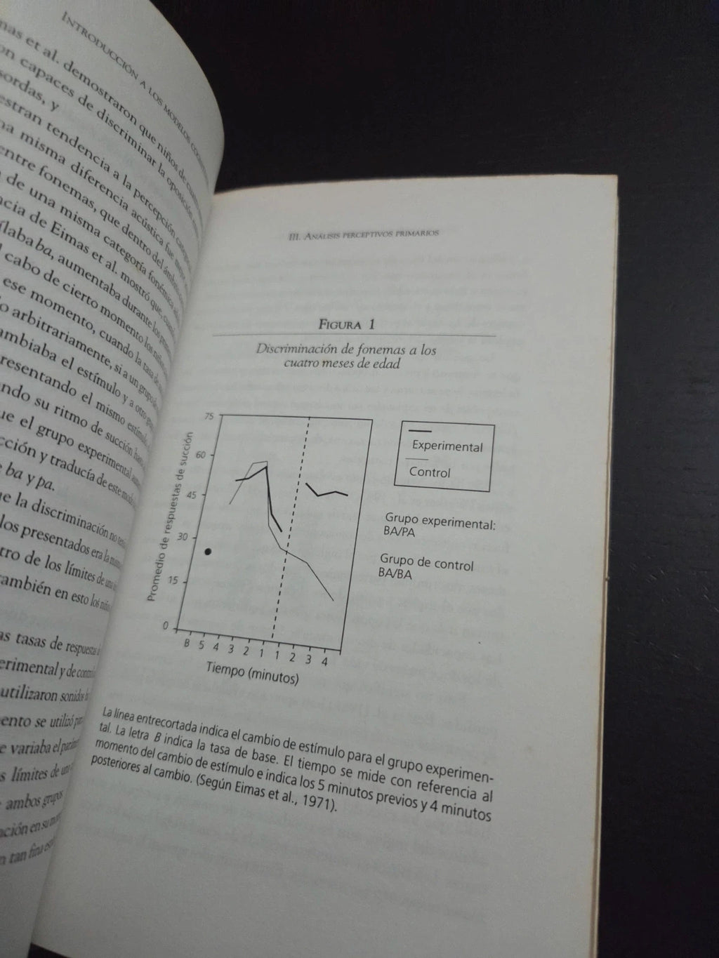 Introducción a los modelos cognitivos de la compresión del lenguaje. Carlos Molinari Marotto