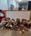 11 osos coleccionables The Bears Family