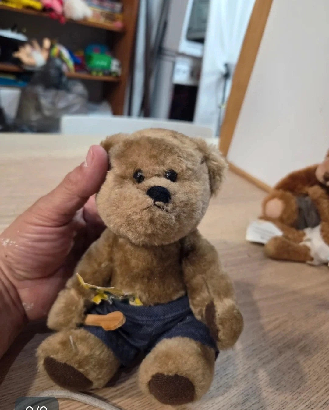11 osos coleccionables The Bears Family