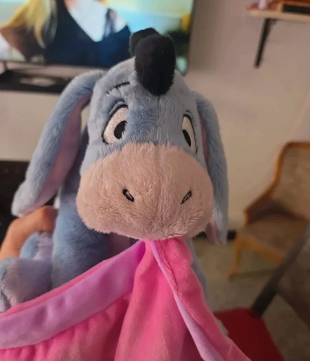 Peluche Eeyore con manta rosa