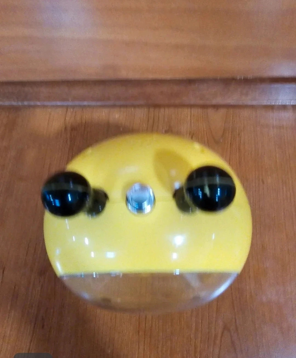 Reloj despertador de abeja