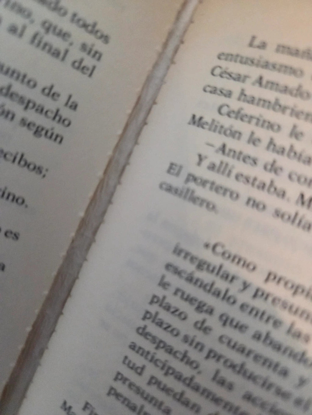 Divorcio para una virgen rota. Angel Palomino