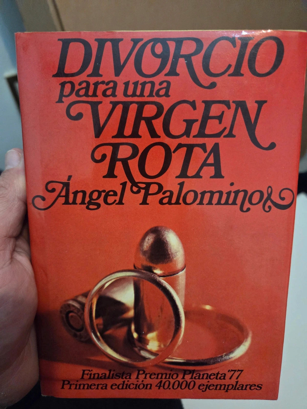 Divorcio para una virgen rota. Angel Palomino