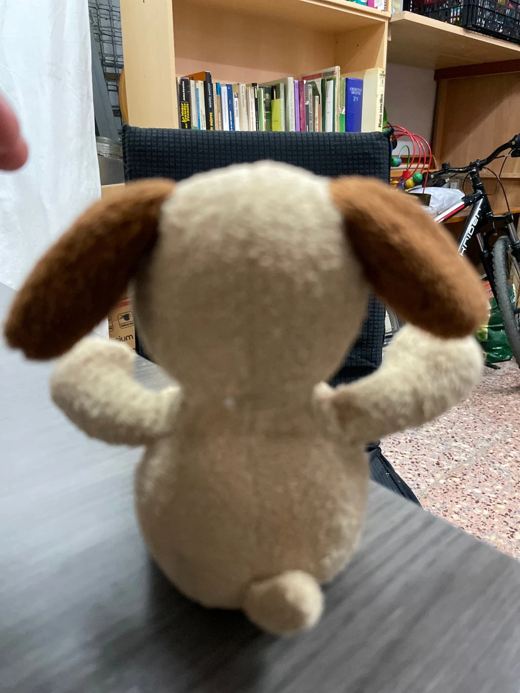 Perrito, peluche pequeño