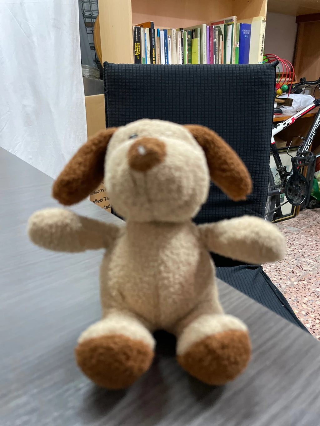 Perrito, peluche pequeño