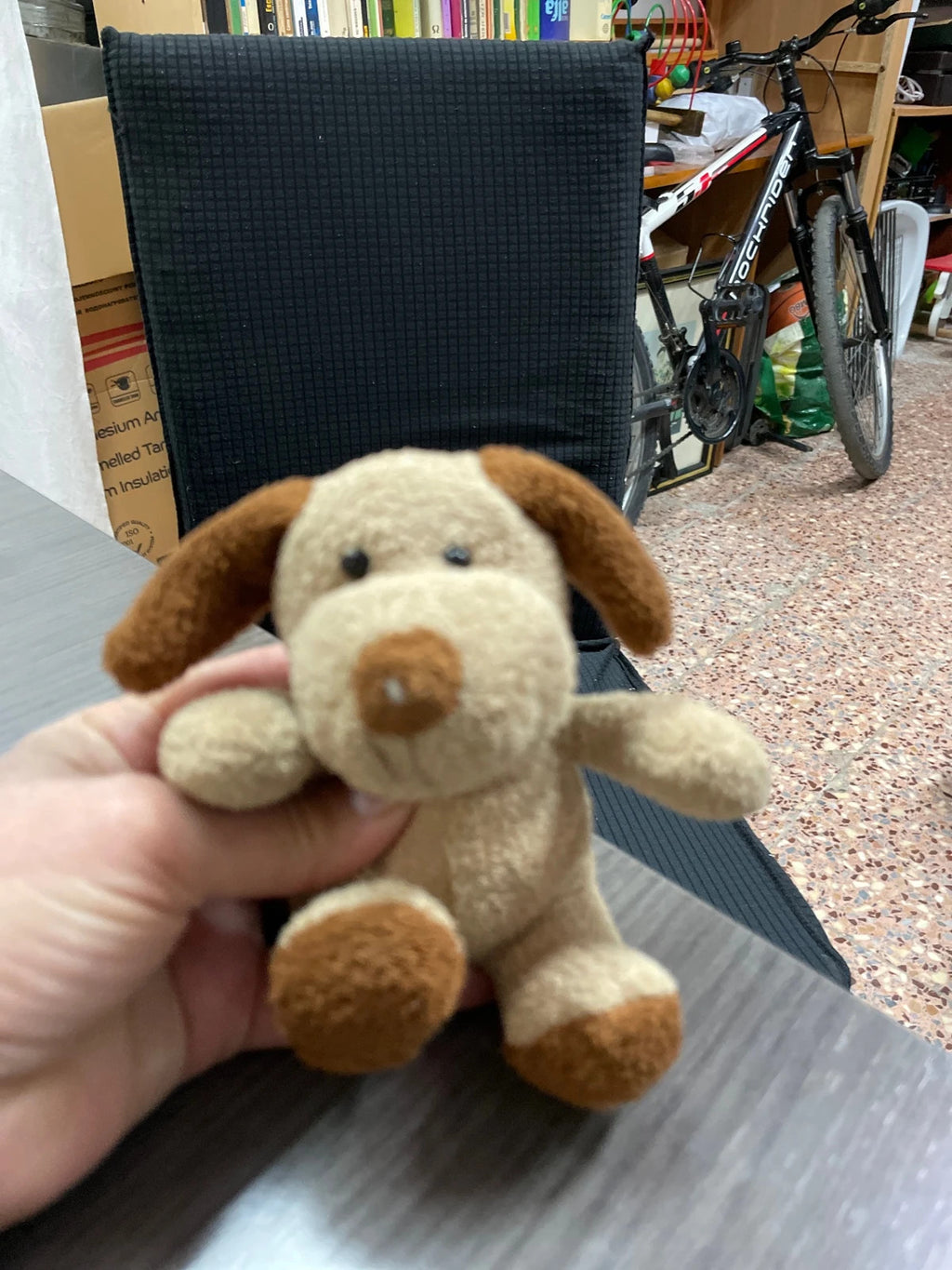 Perrito, peluche pequeño
