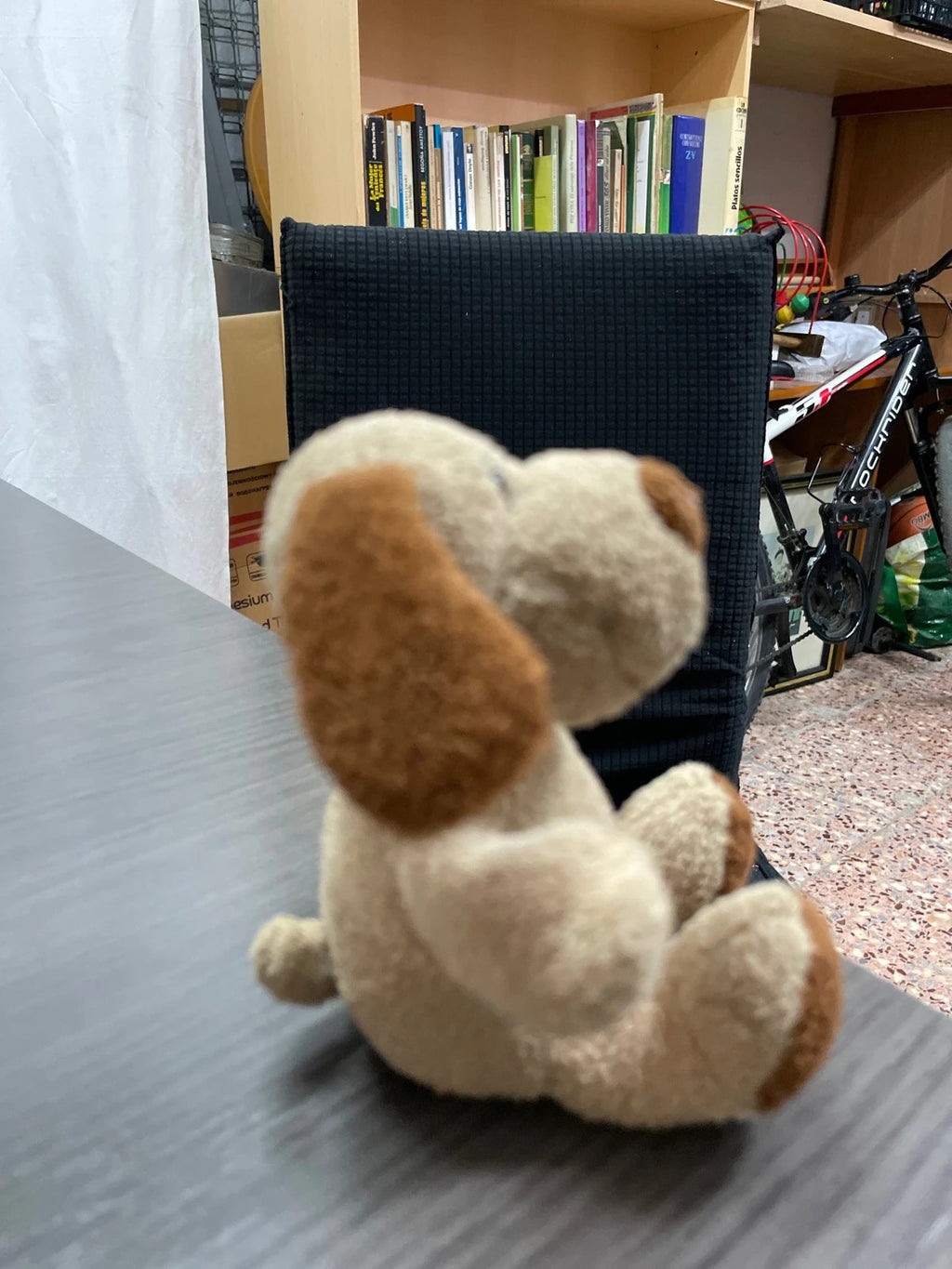 Perrito, peluche pequeño