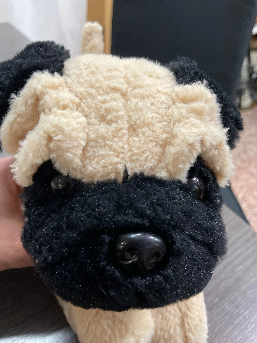 Perrito cachorro acostado