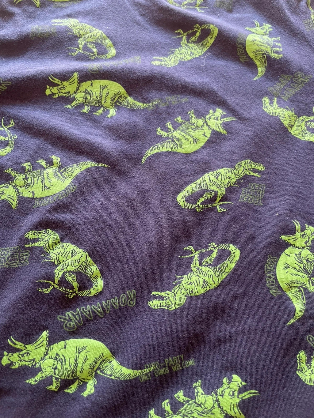 Camiseta dinosaurio Primark