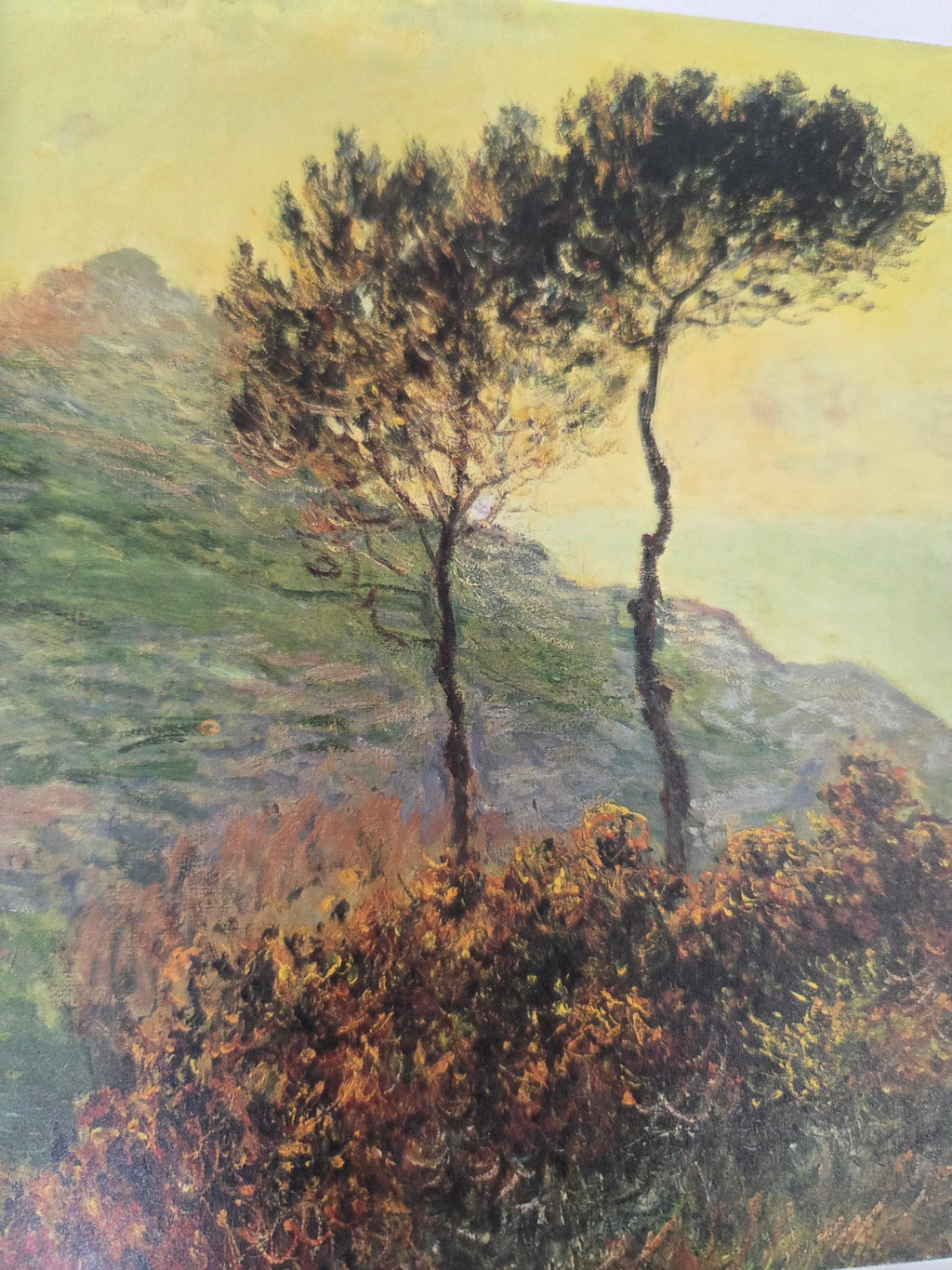 Genios de la Pintura: Monet