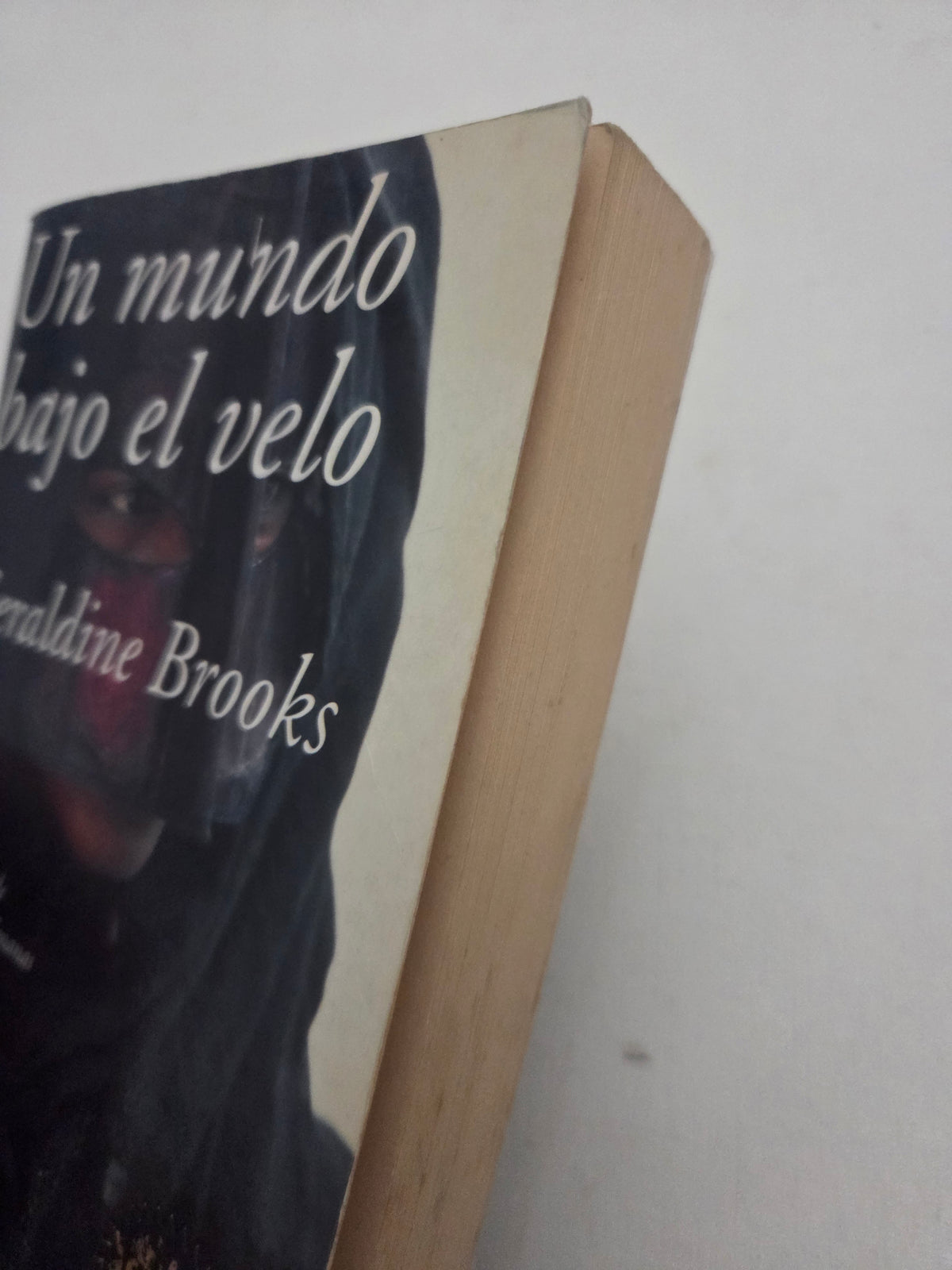 Un Mundo Bajo el Velo - Geraldine Brooks