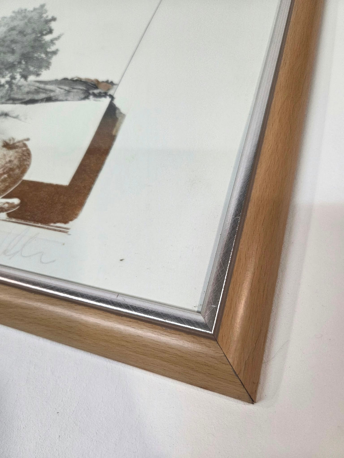 Grabado firmado y numerado (47/120) – Naturaleza, Árbol y Cigarra con Marco