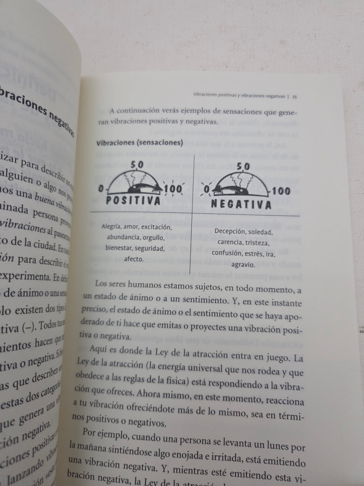 La Ley de la Atracción - Michael Losier
