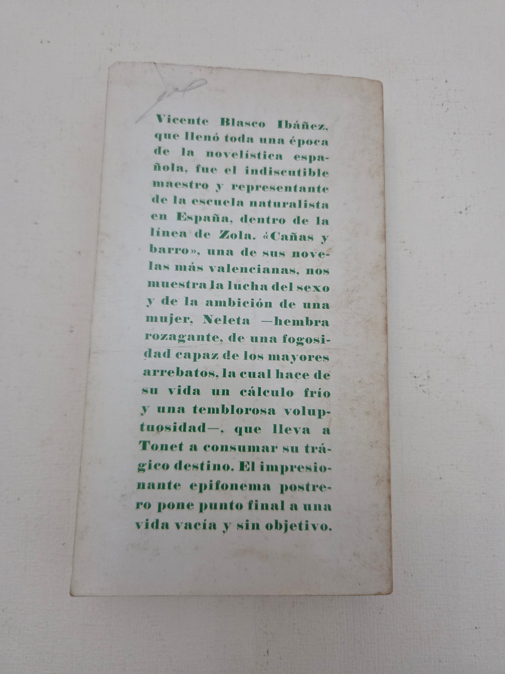 Cañas y Barro - Vicente Blasco Ibáñez