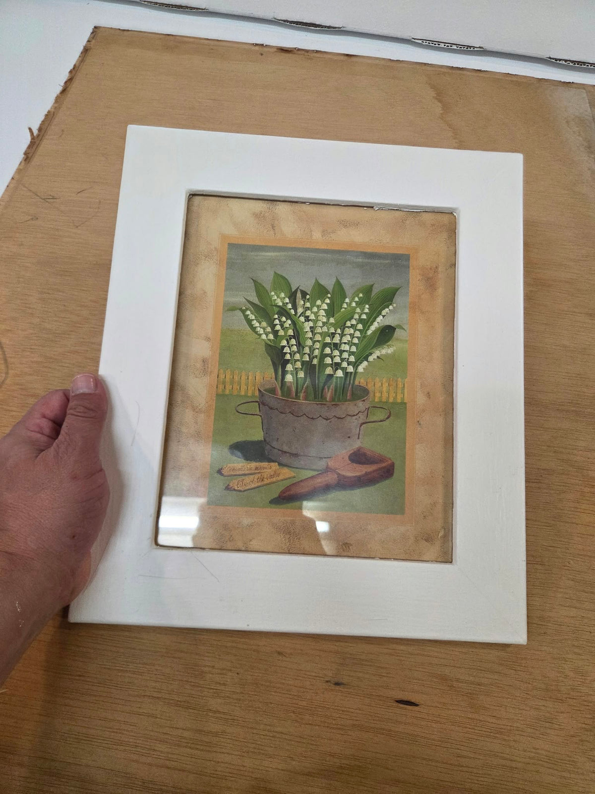 Cuadro Decorativo Estilo Vintage "Lily of the Valley" con Marco Blanco (36,5 x 28,5 cm)
