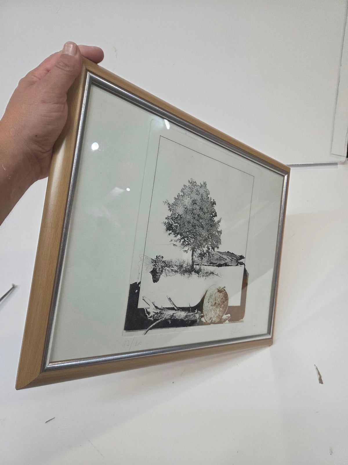 Grabado firmado y numerado (47/120) – Naturaleza, Árbol y Cigarra con Marco