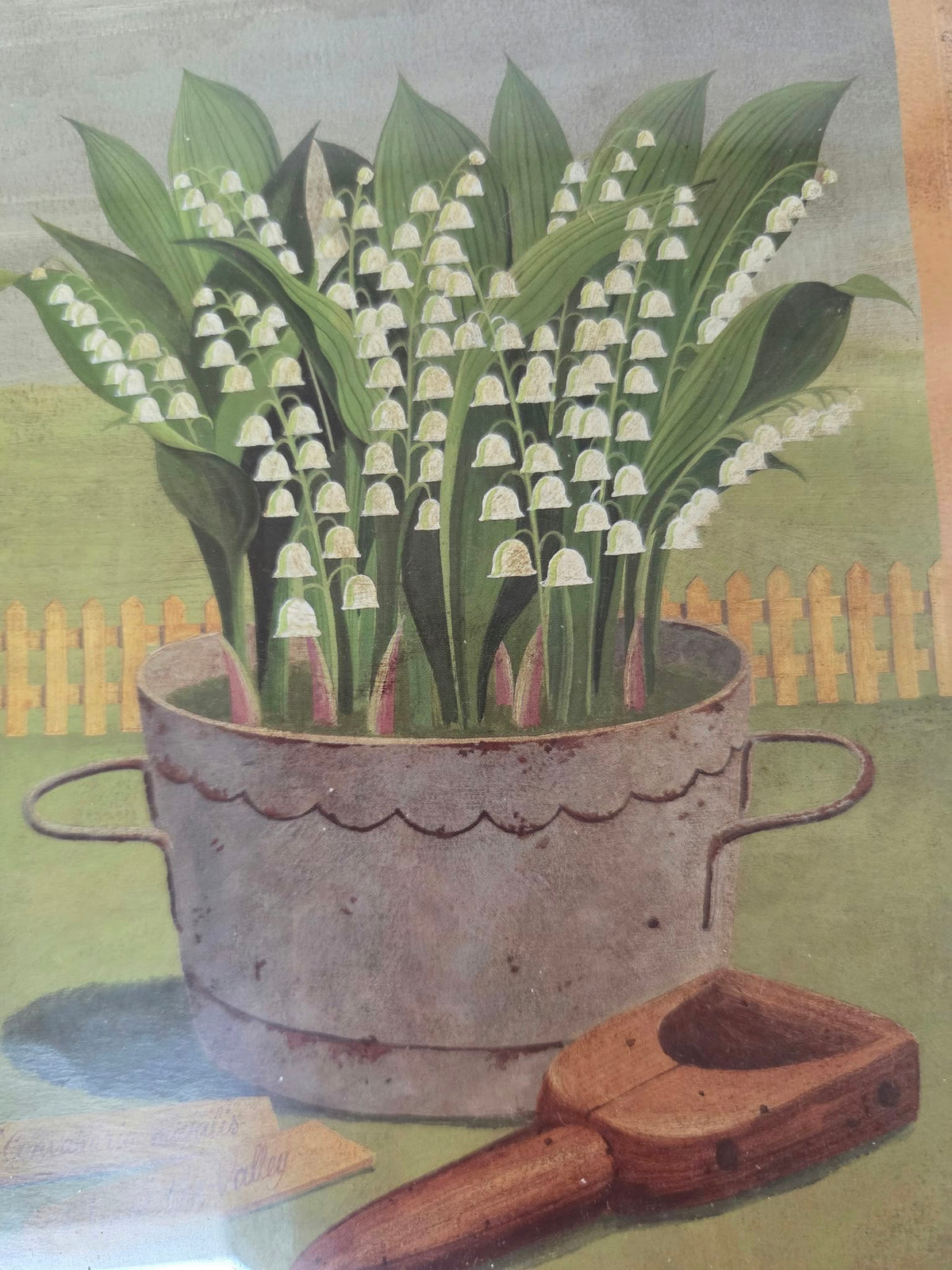 Cuadro Decorativo Estilo Vintage "Lily of the Valley" con Marco Blanco (36,5 x 28,5 cm)