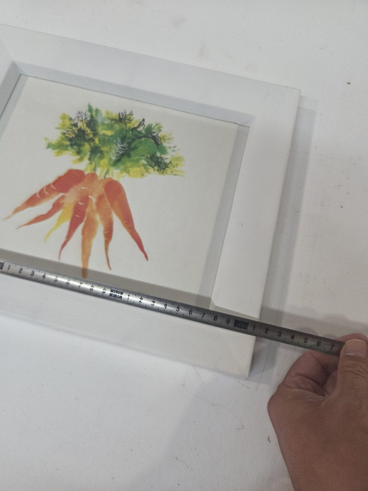 Cuadro Decorativo Ilustración Zanahorias Acuarela con Marco Blanco (25x20 cm)
