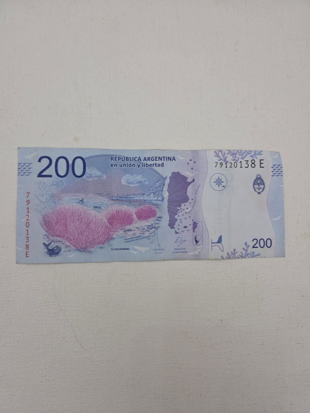 Billete Argentina 200 Pesos - Ballena Franca Austral - Serie E (79120138 E)