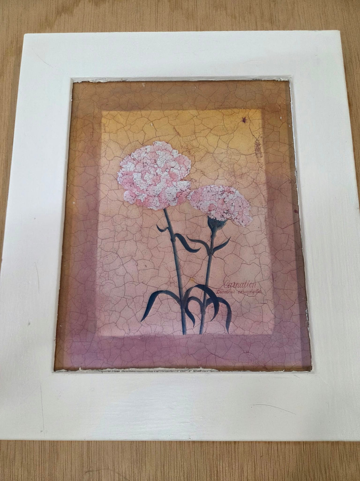 Cuadro Floral Claveles Vintage con Marco Blanco