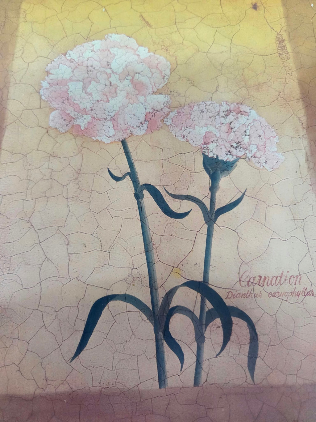 Cuadro Floral Claveles Vintage con Marco Blanco