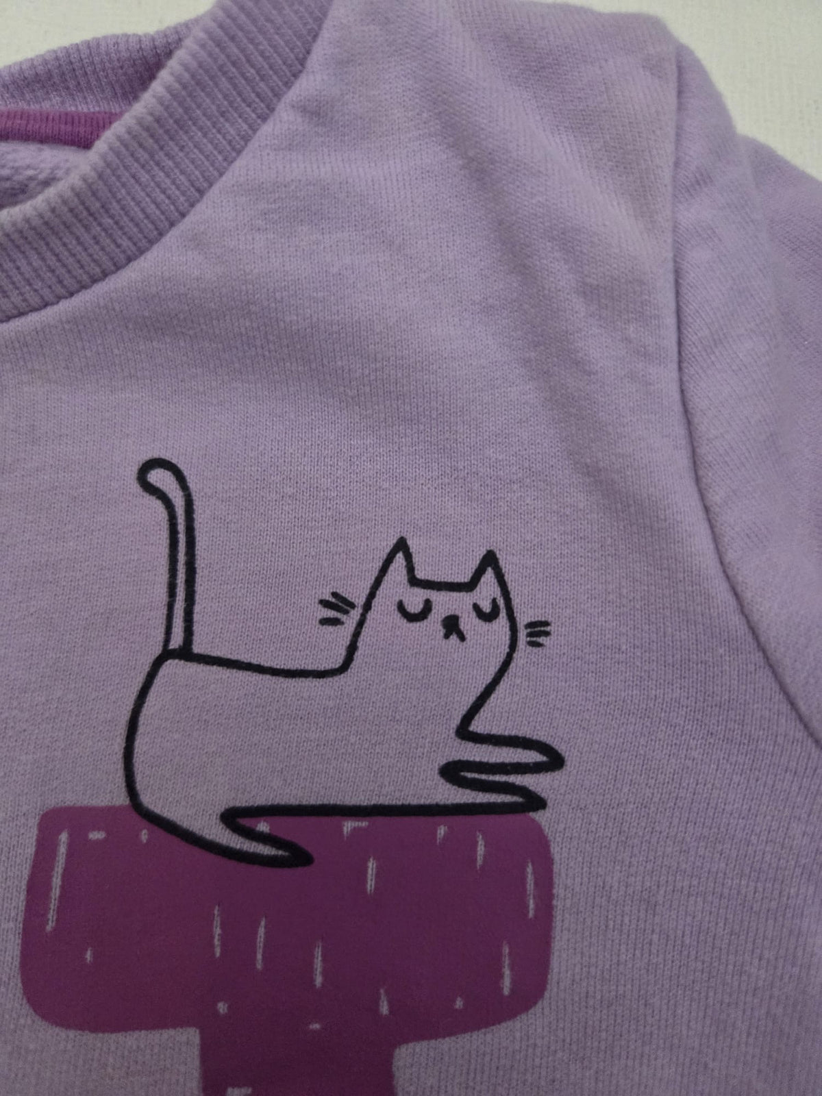Sudadera / Camiseta Fina