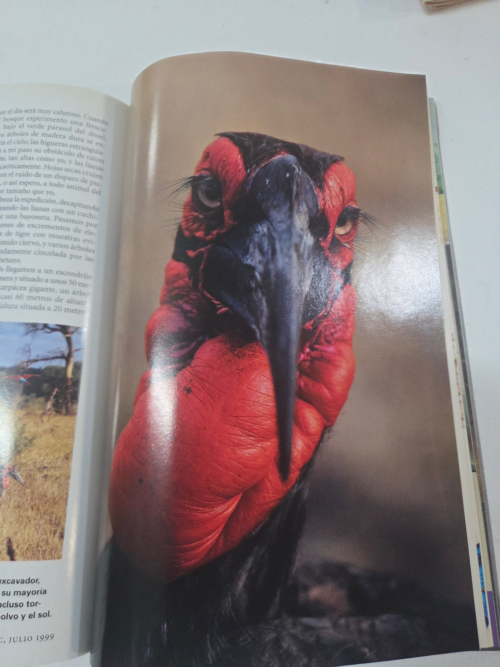National Geographic