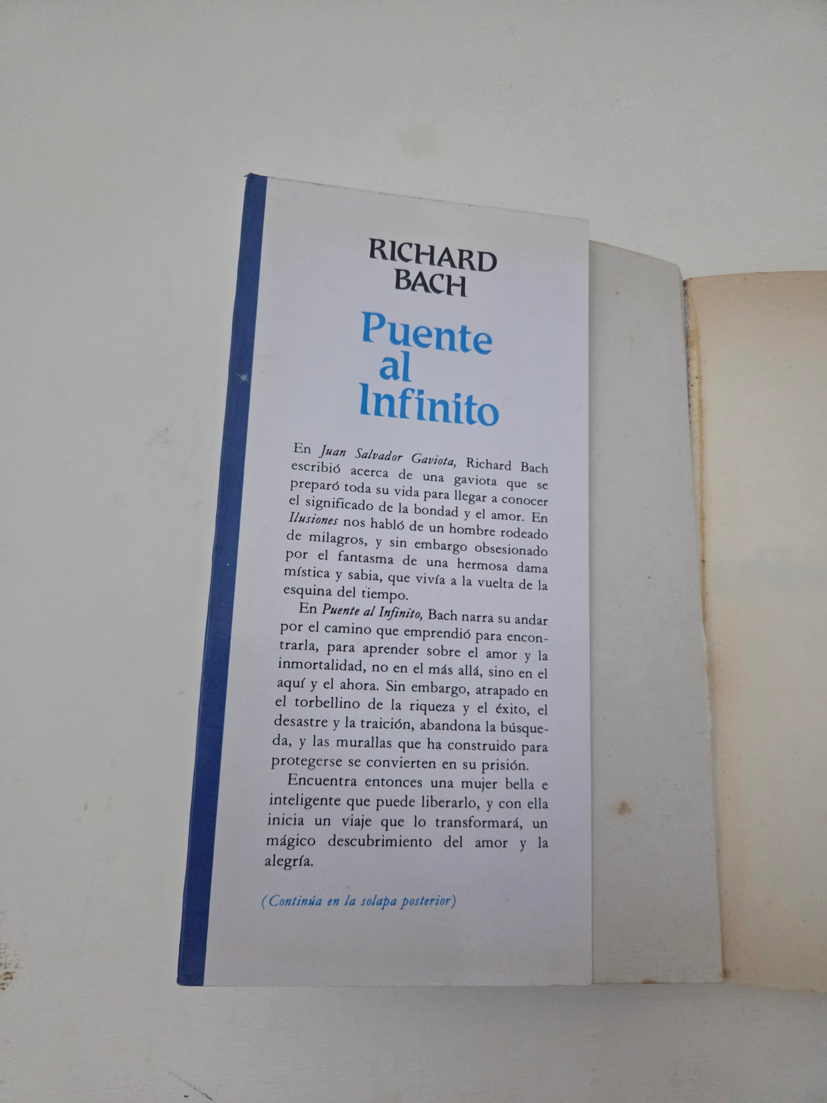 Libro Puente al Infinito – Richard Bach