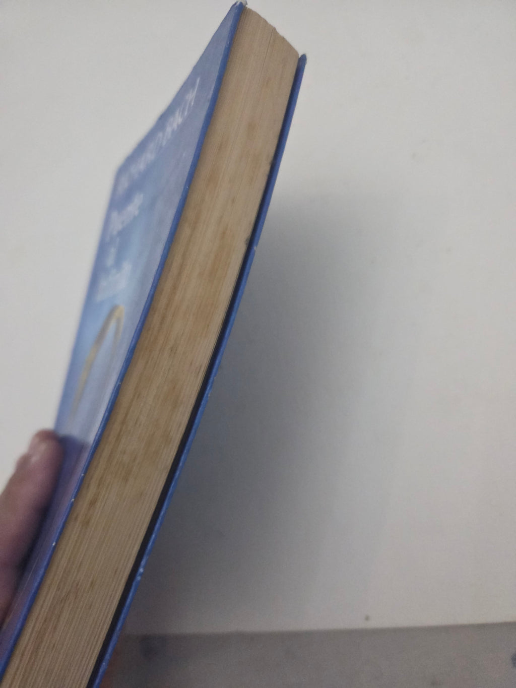 Libro Puente al Infinito – Richard Bach