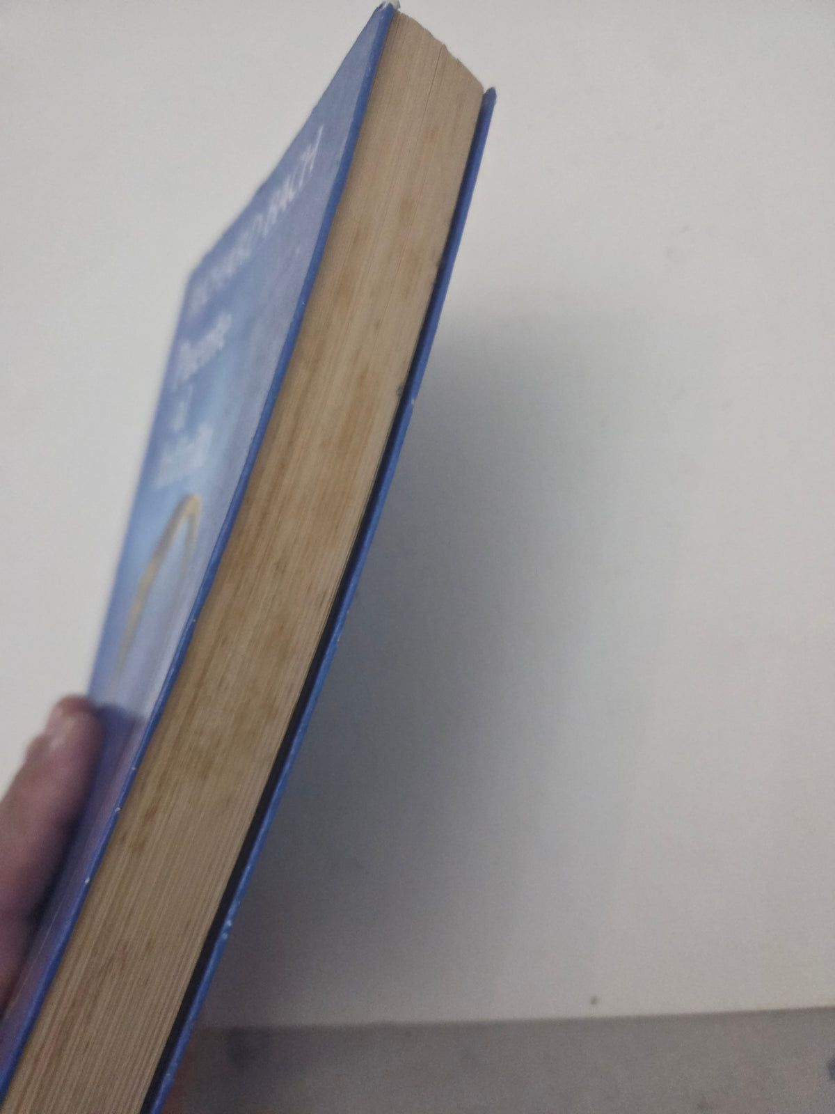 Libro Puente al Infinito – Richard Bach