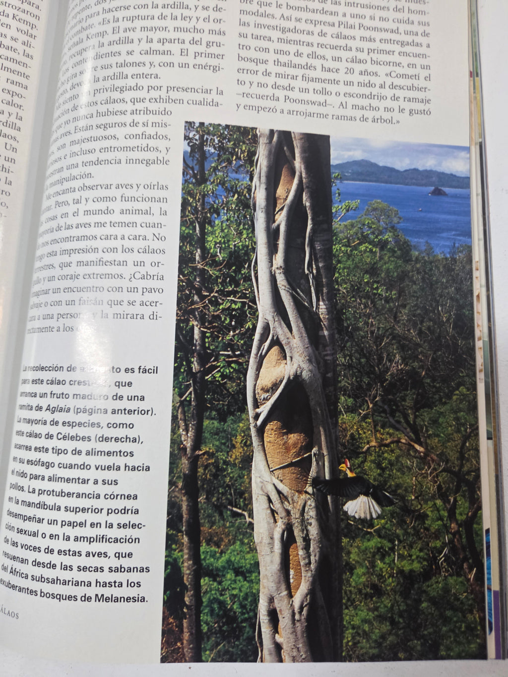 National Geographic