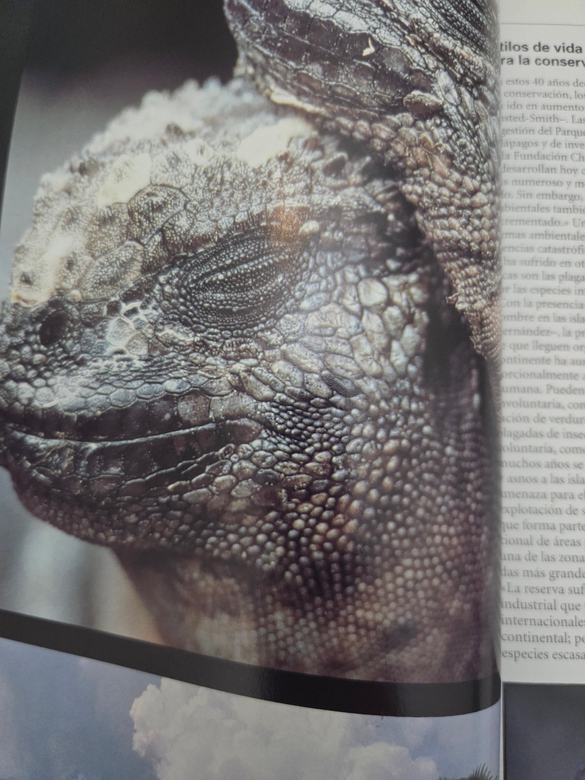 Revista National Geographic España - Vol. 6, N.º 3 (Marzo 2000): Madidi