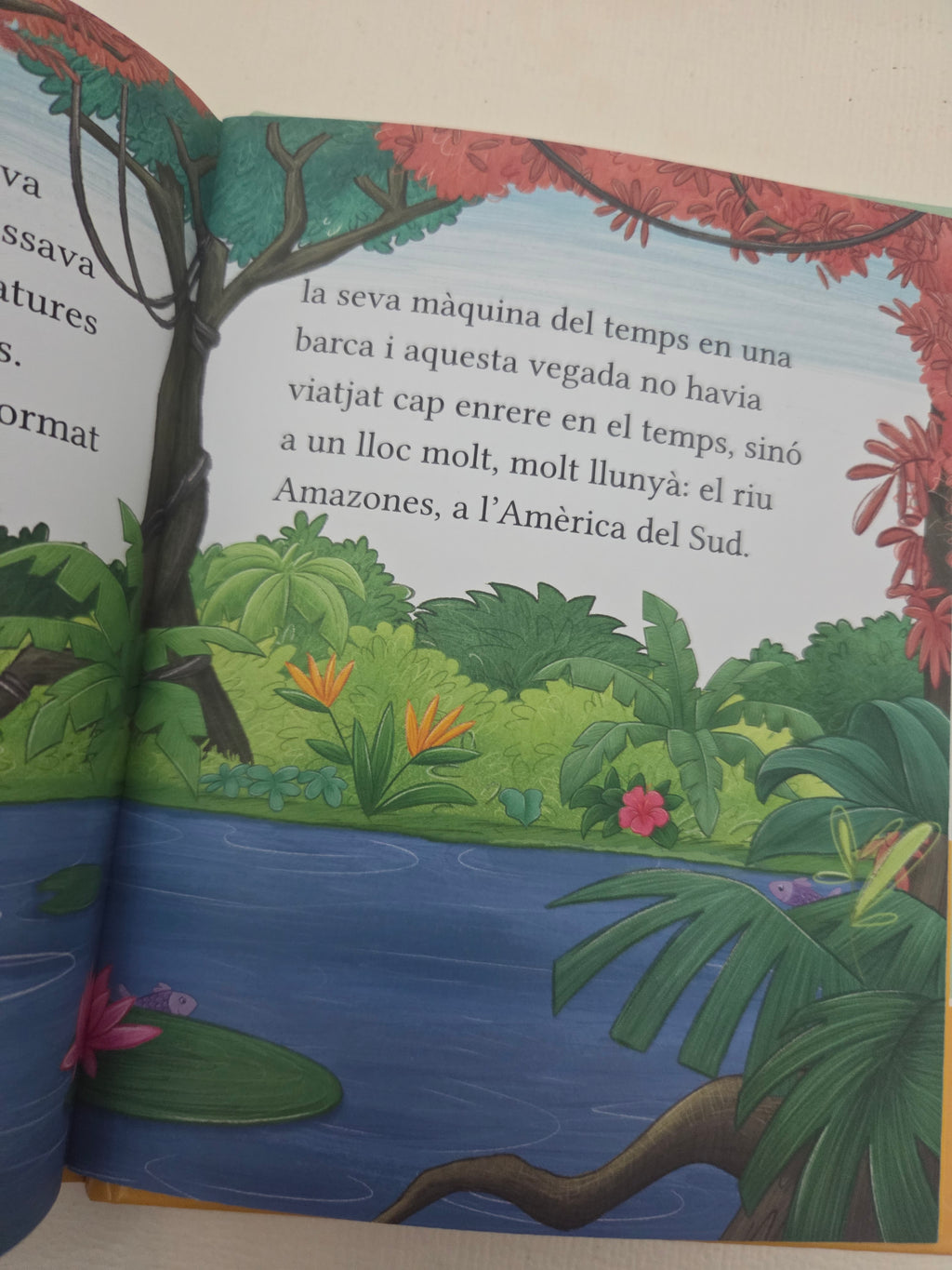Les aventures dels bessons Treetop: Els bessons ajuden un dofí rosa – Cressida Cowell Edición en catalán