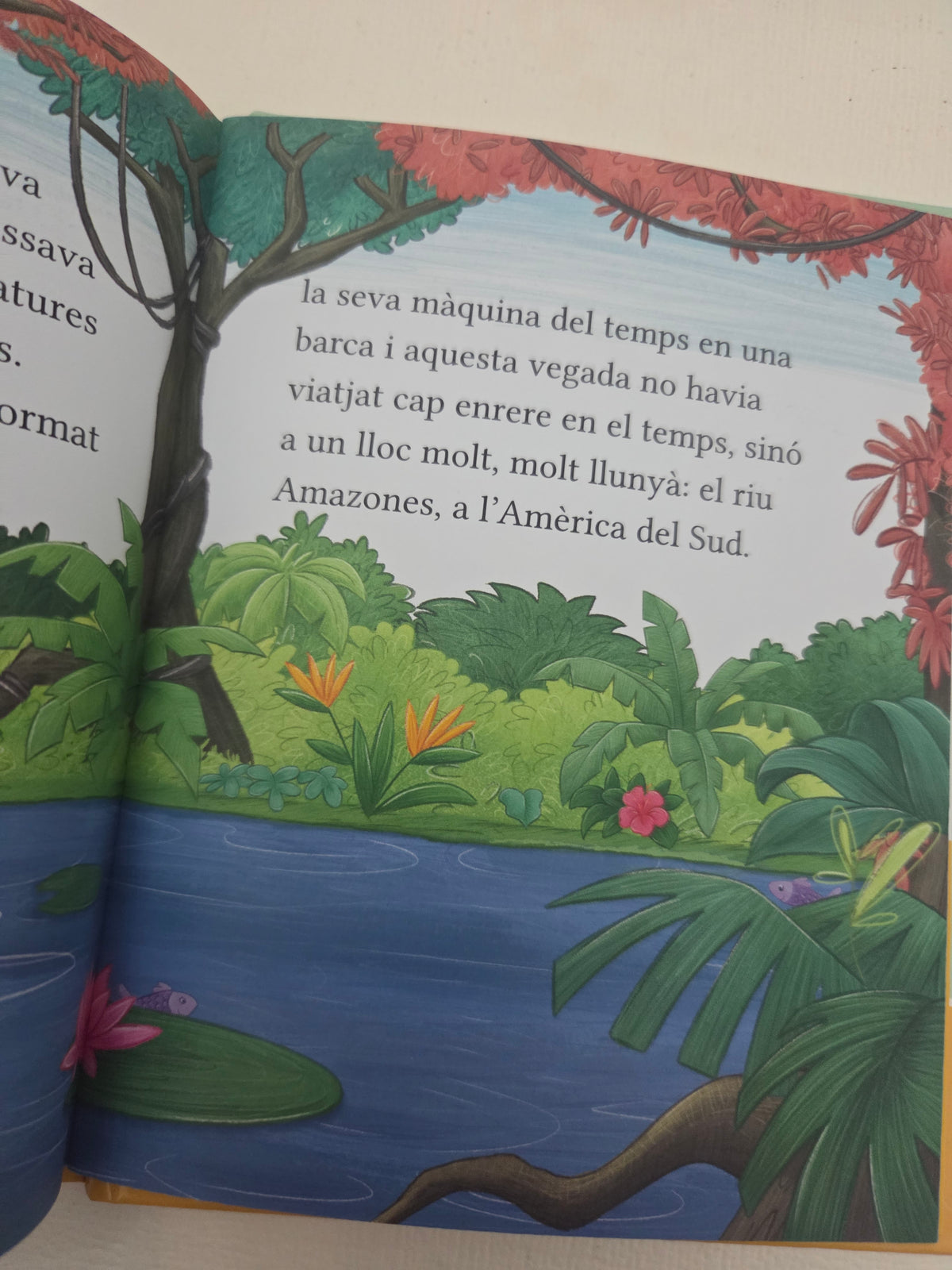 Les aventures dels bessons Treetop: Els bessons ajuden un dofí rosa – Cressida Cowell Edición en catalán
